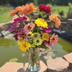Fresh Cut Flower CSA