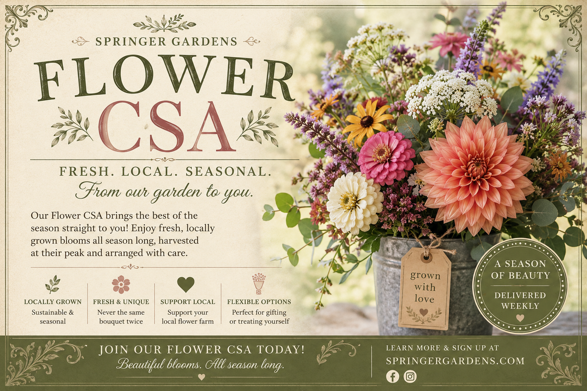 Fresh Cut Flower CSA