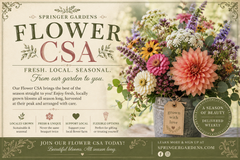 Fresh Cut Flower CSA