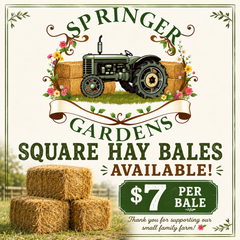 Square hay Bales.