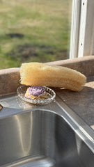 Home Grown Loofah